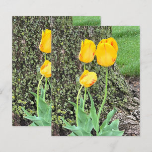 Drei gelbe Tulpen / Scrapbook-Papier