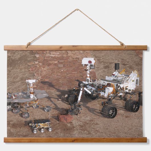 Drei Generationen von Mars-Rover. Wandteppich Mit Holzrahmen (Vorne)