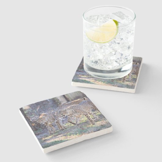 Drei Geschwindigkeiten Steinuntersetzer (Seitenansicht)