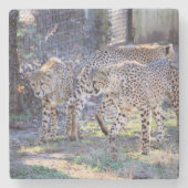 Drei Geschwindigkeiten Steinuntersetzer (Vorderseite)