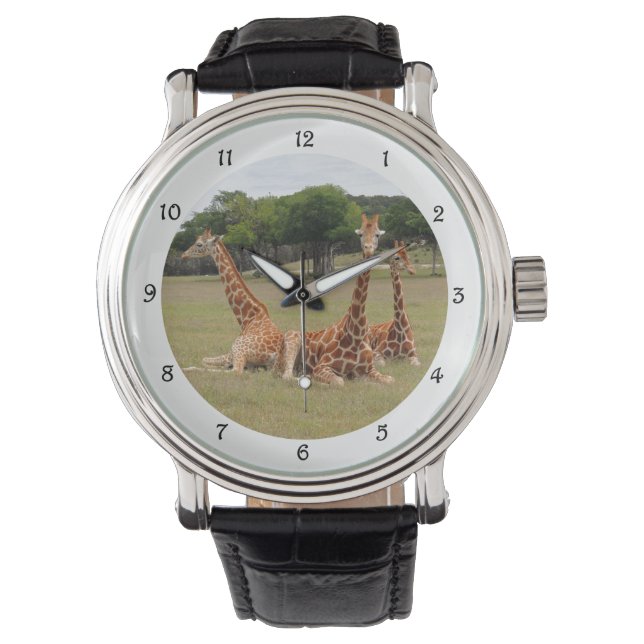 Drei Giraffen bei Fossil Rim Armbanduhr (Vorderseite)