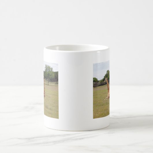 Drei Giraffen bei Fossil Rim Kaffeetasse (Mittel)
