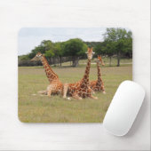 Drei Giraffen bei Fossil Rim Mousepad (Mit Mouse)