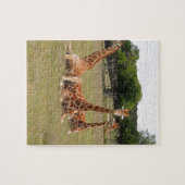 Drei Giraffen bei Fossil Rim Puzzle (Horizontal)