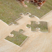 Drei Giraffen bei Fossil Rim Puzzle (Seite)