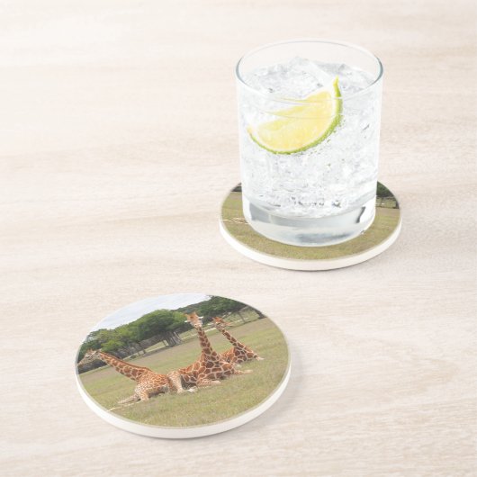 Drei Giraffen bei Fossil Rim Sandstein Untersetzer (Seite)