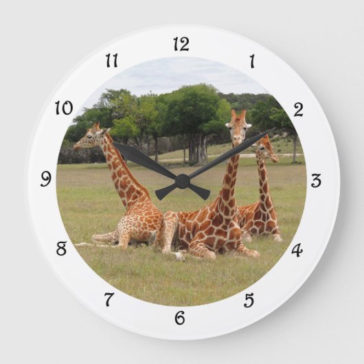 Drei Giraffen bei Fossil Rim Wall Clack Große Wanduhr (Vorderseite)