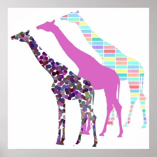 Drei Giraffen Design 3 Poster (Vorne)