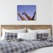 Drei Giraffen Leinwanddruck (Insitu (Schlafzimmer))