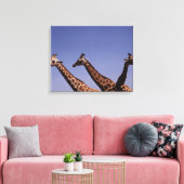 Drei Giraffen Leinwanddruck (Insitu (Wohnzimmer))