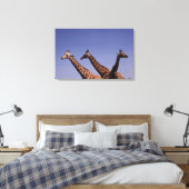 Drei Giraffen Leinwanddruck (Insitu (Schlafzimmer))