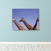 Drei Giraffen Leinwanddruck (Insitu (Holzboden))