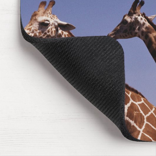 Drei Giraffen Mousepad (Ecke)