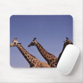 Drei Giraffen Mousepad (Mit Mouse)