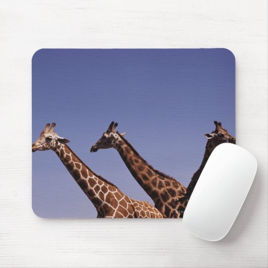Drei Giraffen Mousepad (Mit Mouse)