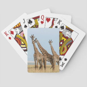 Drei Giraffen posieren Spielkarten