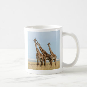 Drei Giraffen posierend Kaffeetasse