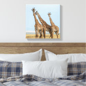 Drei Giraffen Posing Leinwanddruck (Insitu (Schlafzimmer))
