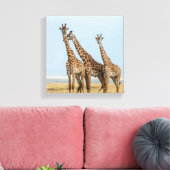 Drei Giraffen Posing Leinwanddruck (Insitu (Wohnzimmer))