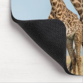 Drei Giraffen Posing Mousepad (Ecke)