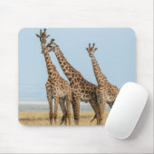 Drei Giraffen Posing Mousepad (Mit Mouse)