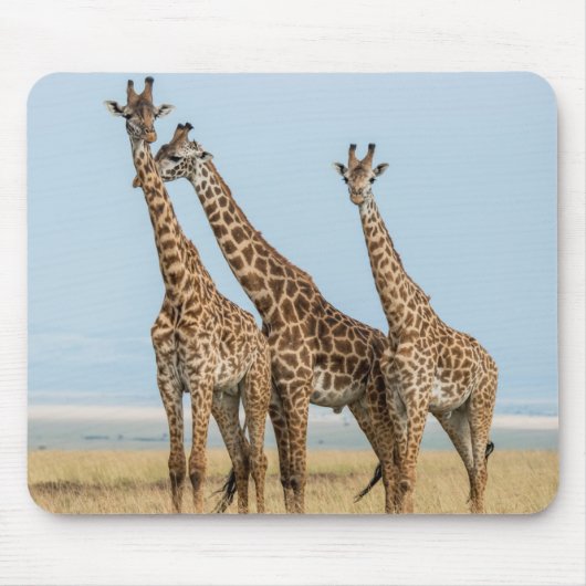 Drei Giraffen Posing Mousepad (Vorne)