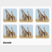 Drei Giraffen Posing Quadratischer Aufkleber (Blatt)