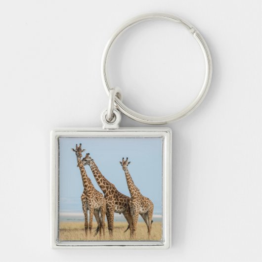 Drei Giraffen Posing Schlüsselanhänger (Vorne)