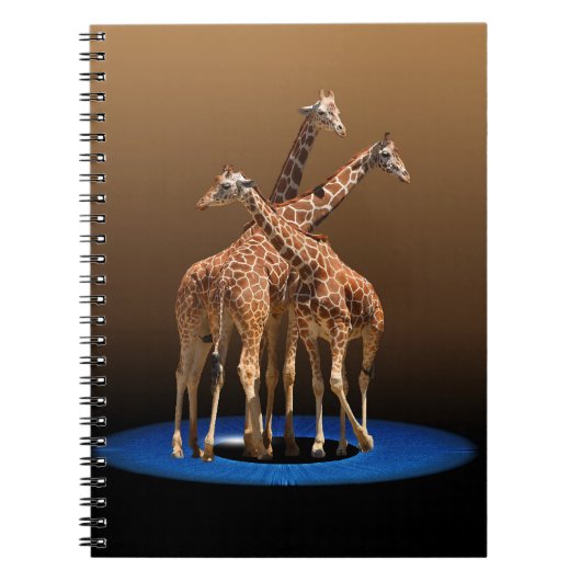 DREI GIRAFFES NOTIZBLOCK (Vorderseite)
