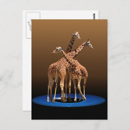 DREI GIRAFFES POSTKARTE (Vorne/Hinten)