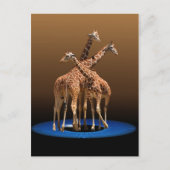 DREI GIRAFFES POSTKARTE (Vorderseite)