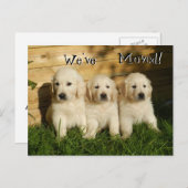 Drei goldene Retriever Welpen. Wir haben uns beweg Ankündigungspostkarte (Vorne/Hinten)
