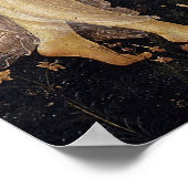 DREI GRACES POSTER (Ecke)