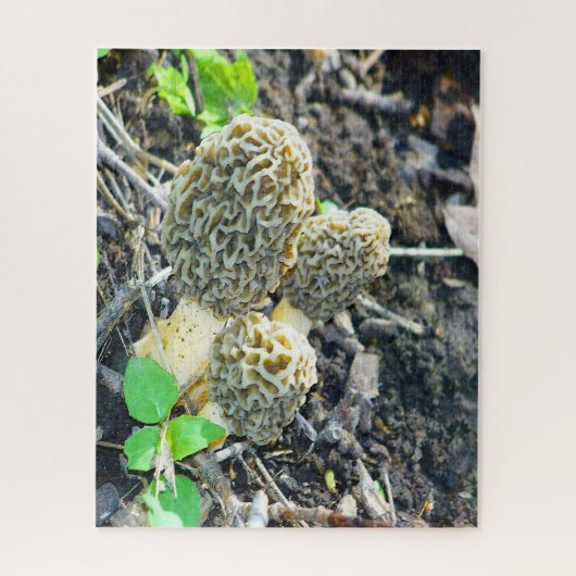Drei graue Mushrooms im Wald Puzzle (Vertikal)