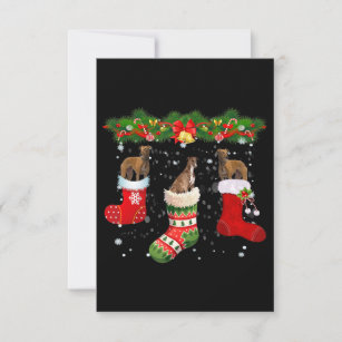 Drei Grauhund Hund in Socken Weihnachten Weihnacht Dankeskarte