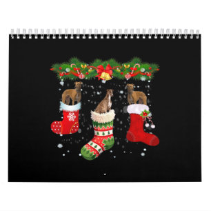 Drei Grauhund Hund in Socken Weihnachten Weihnacht Kalender