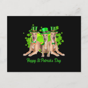 Drei Greyhound Hunde Happy Stpatricks Tagesgeschen Feiertagspostkarte