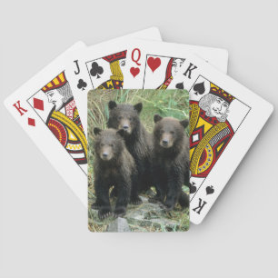 Drei Grizzlybären-Jungtiere oder Coys Spielkarten