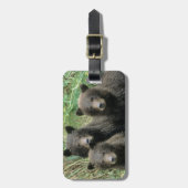 Drei Grizzlybären oder Coys Gepäckanhänger (Vorderseite vertikal)