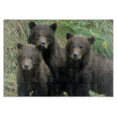 Drei Grizzlybären oder Coys Schneidebrett (Vorderseite)
