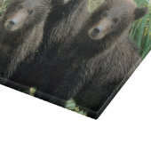 Drei Grizzlybären oder Coys Schneidebrett (Ecke)