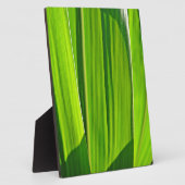 Drei Grüne Maisæ Fotoplatte (Seite)