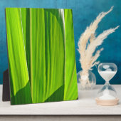 Drei Grüne Maisæ Fotoplatte (Seite)