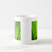 Drei Grüne Maisæ Kaffeetasse (Mittel)