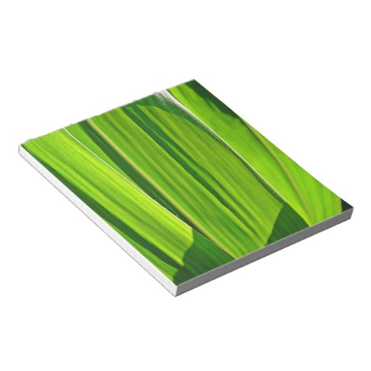 Drei Grüne Maisæ Notizblock (angewinkelt)