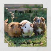 Drei Guinea von Säuglingen, (Vorne/Hinten)