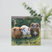 Drei Guinea von Säuglingen, (Stehend Vorderseite)