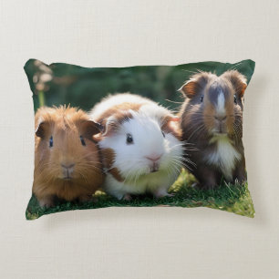 Drei Guinea von Säuglingen, Dekokissen