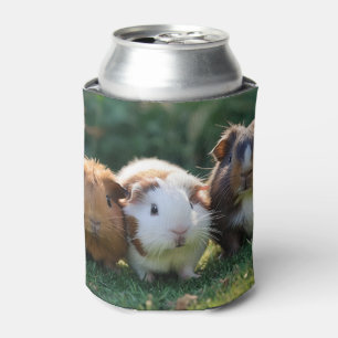 Drei Guinea von Säuglingen, Dosenkühler