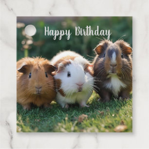 Drei Guinea von Säuglingen, Geschenkanhänger